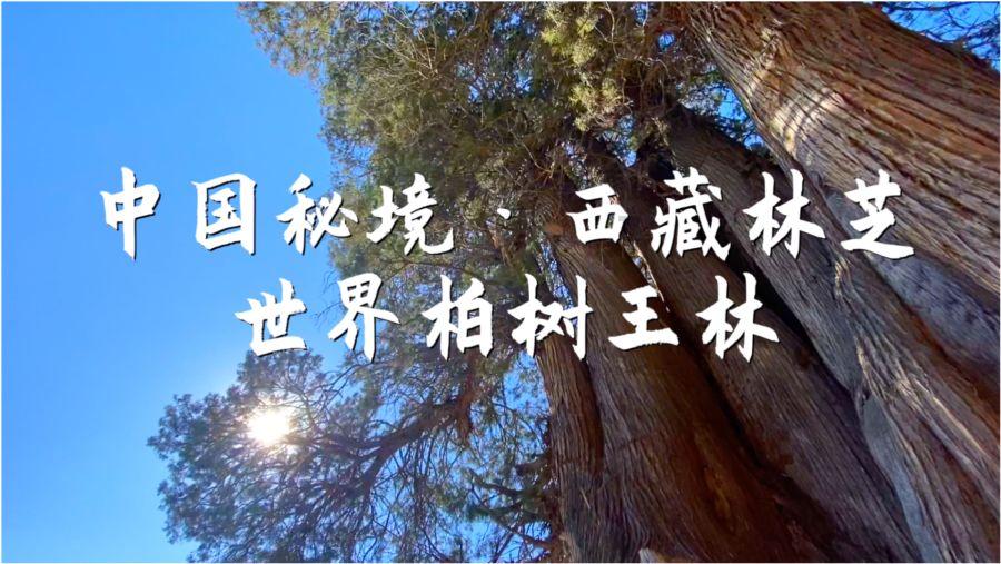 皇冠地下城